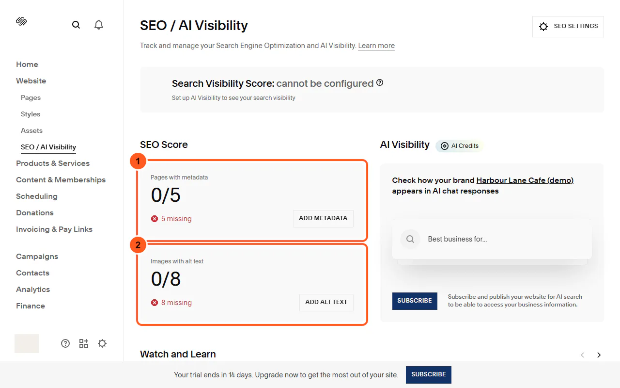 Squarespace SEO / AI Visibility with "Pages with metadata" (1) and "Images with alt text" (2) numbered